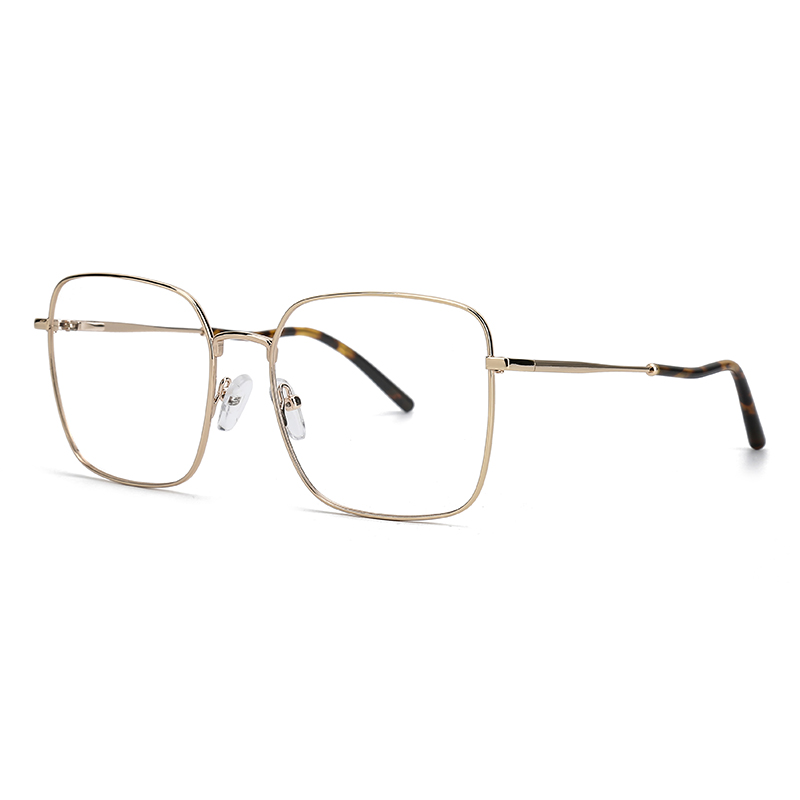 MT6789 Metal Optical Frame