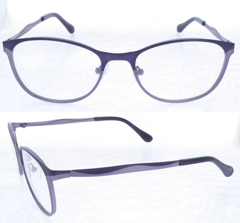 Metal Optical Glasses